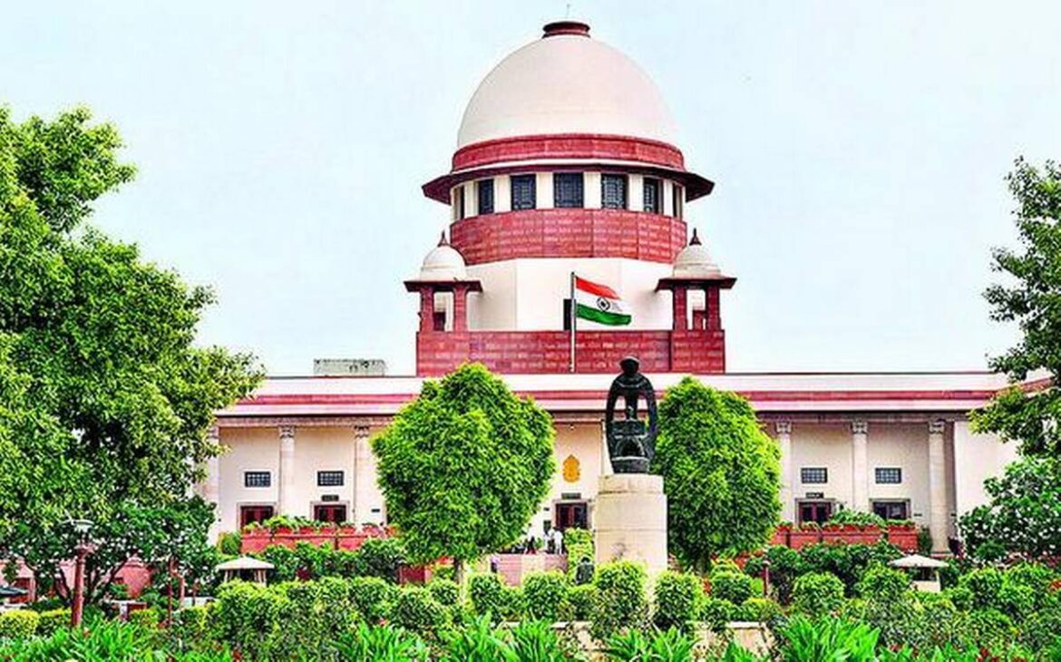 आवारा कुत्तों पर सुप्रीम कोर्ट का फैसला: नसबंदी और टीकाकरण के बाद ही छोड़ा जाए