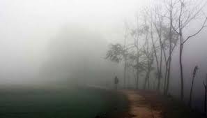 भीषण कोहरे की चपेट में पूरा मध्यप्रदेश;