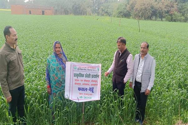 प्राकृतिक खेती के गेंहूँ प्रदर्शनों का वैज्ञानिकों द्वारा किया भ्रमण;