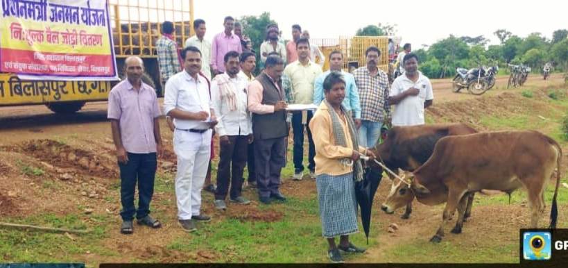 बैगा परिवारों को 20 जोड़ी बैल निःशुल्क वितरित, खेती का काम होगा आसान