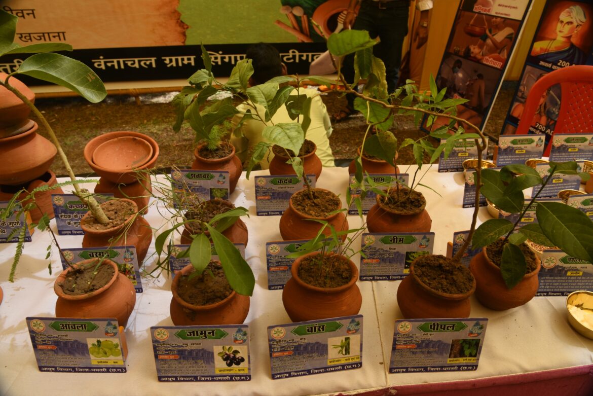 बैक टू आयुर्वेद : छत्तीसगढ़ के धमतरी में बूटीगढ़ की स्थापना, आयुर्वेदिक रसशाला बन रही आकर्षण का केंद्र