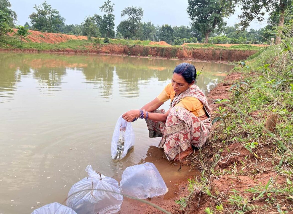 कांकेर की मासुलपानी पंचायत को मिलेगा राष्ट्रीय जल पुरस्कार