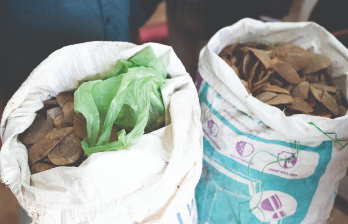 पेंगोलिन तस्करों पर कसा शिकंजा, तीन तस्कर पकड़ाए