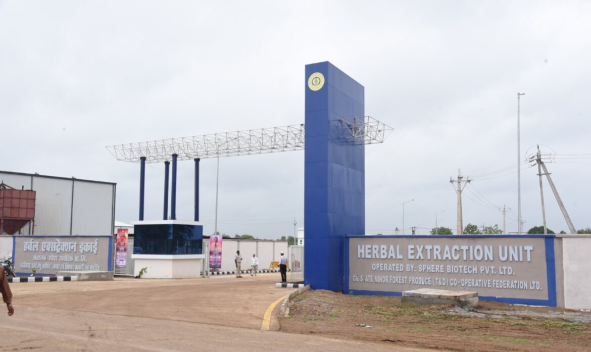 हर्बल और आयुर्वेदिक उत्पादों का प्रमुख केंद्र बनेगा छत्तीसगढ़