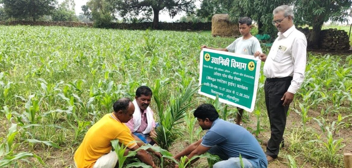 बंदूक की गूंज से फलों और फूलों की महक तक का सफर