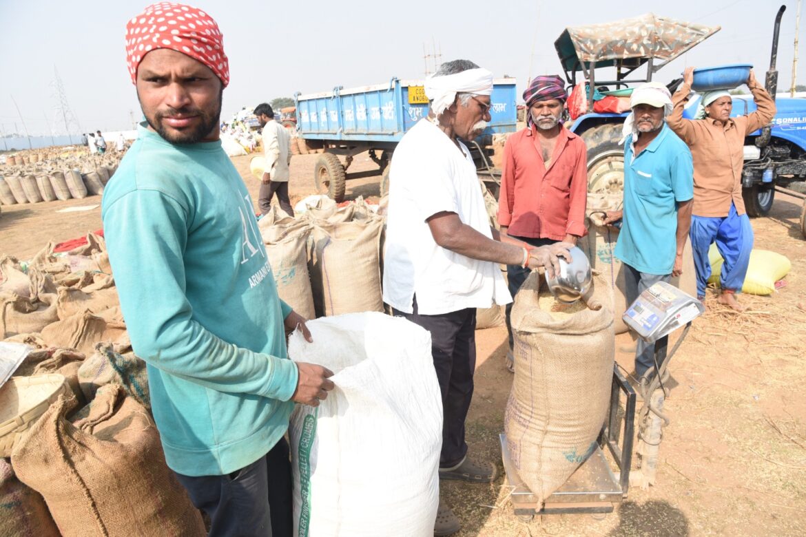 खरीफ 2025–26 के लिए बड़ी राहत: छत्तीसगढ़ में तुअर, उड़द, मूंग, सोयाबीन और मूंगफली की एमएसपी पर खरीद को मंजूरी