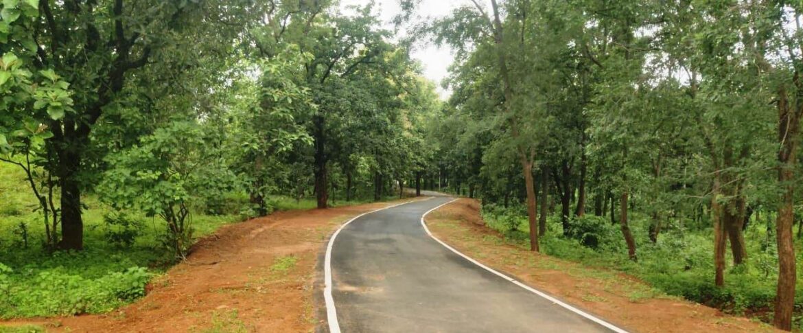 पीएमजीएसवाई से बदला विकास का भूगोल एमसीबी जिले में