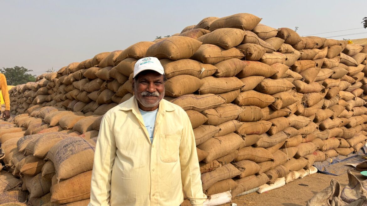 धान की बेहतर कीमत ने बढ़ाया किसान युगल का हौसला