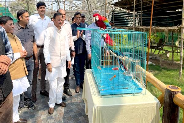 मुकुंदपुर व्हाइट टाइगर सफारी में अब दिखेंगे विदेशी पक्षी, उप मुख्यमंत्री राजेंद्र शुक्ल ने नए मेहमानों को उनके बसेरे में छोड़ा