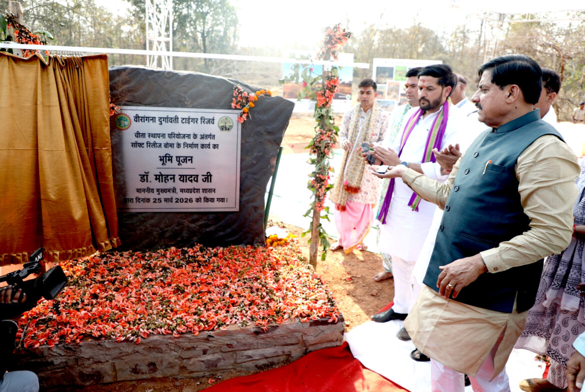 वीरांगना दुर्गावती टाइगर रिज़र्व बनेगा चीतों का तीसरा घर, मुख्यमंत्री डॉ. यादव ने कछुओं को नदी में विमुक्त कर दिया संरक्षण का संदेश