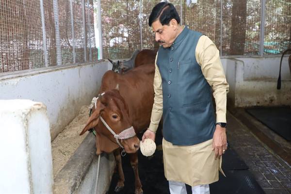 गौ-सेवा और प्रभु भक्ति के साथ हुई मुख्यमंत्री डॉ. मोहन यादव के जन्मदिवस की शुरुआत, प्रदेशभर में उत्साह का माहौल
