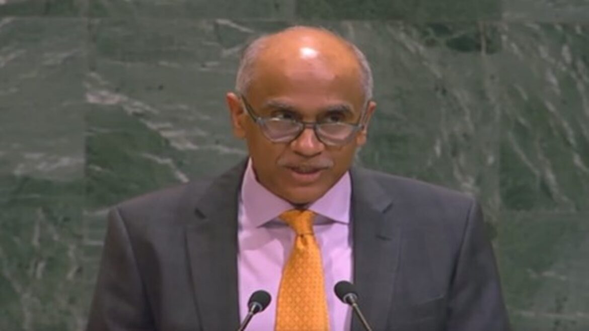 होर्मुज जलडमरूमध्य संकट: भारत ने वाणिज्यिक जहाजों पर हमलों पर जताई कड़ी आपत्ति, UNSC में वीटो पर रखा संतुलित रुख