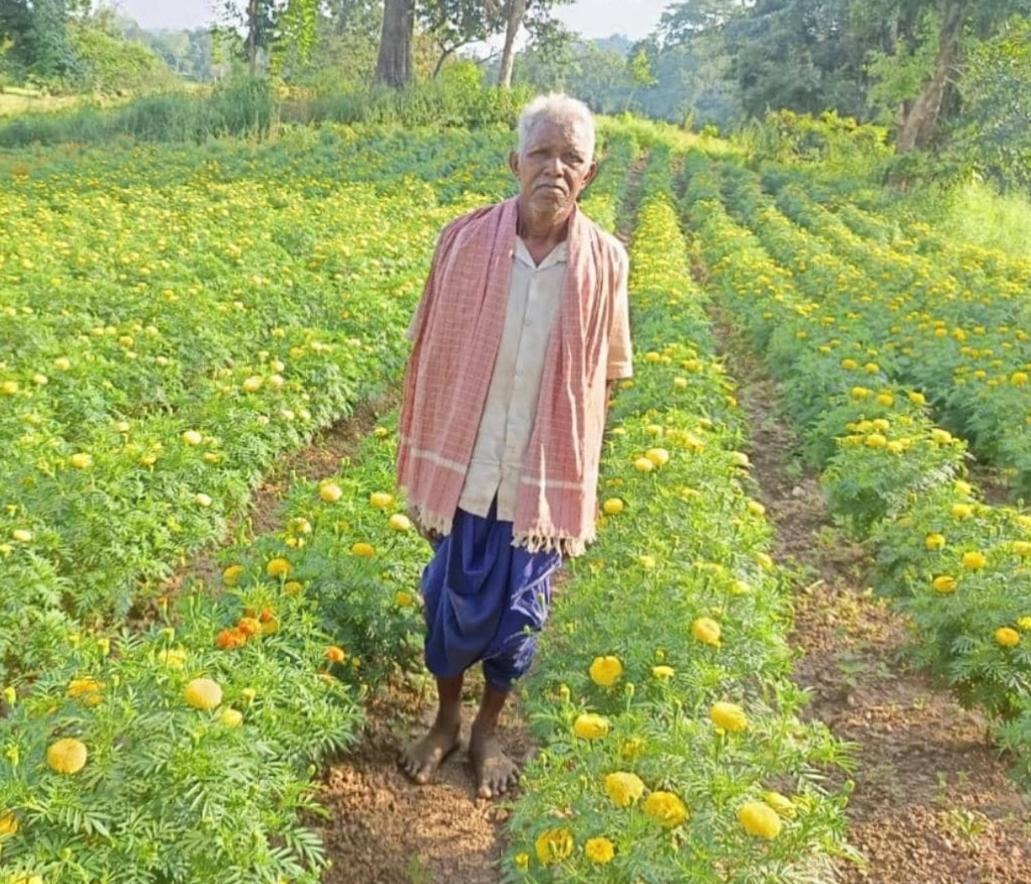 सफलता की कहानी : धान छोड़ फूलों की खेती ने बदली आनंदराम की तकदीर