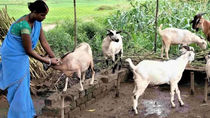 धमतरी का भटगांव बनेगा इनोवेशन हब