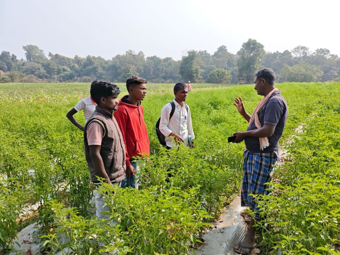 नक्सल प्रभावित क्षेत्र में समृद्धि की नई गाथा