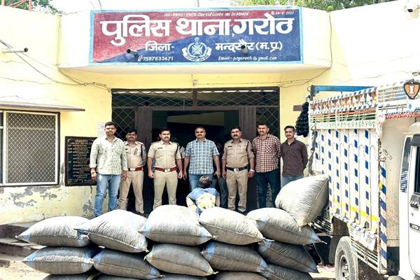 मादक पदार्थों के खिलाफ मप्र पुलिस का राज्यव्यापी कड़ा प्रहार; भारी मात्रा में गांजा और डोडाचूरा जब्त, कई गिरफ्तार