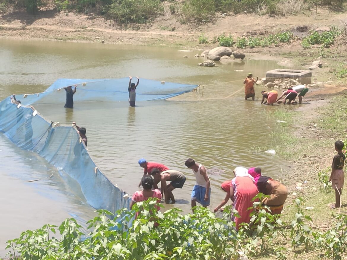 मत्स्य पालन बना ग्रामीण समृद्धि का सशक्त माध्यम