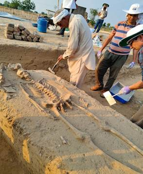 सिंधु-सरस्वती सभ्यता के रहस्यों से उठेगा पर्दा: राखीगढ़ी से मिले कंकाल विस्तृत शोध के लिए कोलकाता भेजे गए