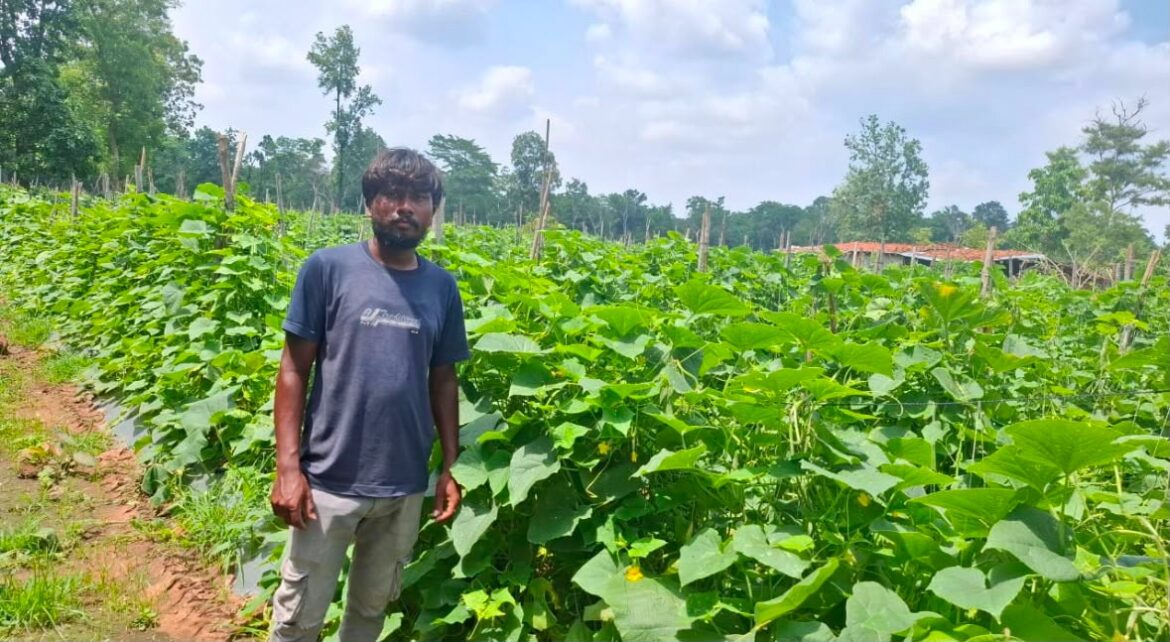 सफलता की कहानी : उद्यानिकी विभाग की योजना से बदली कमार कृषक की तकदीर