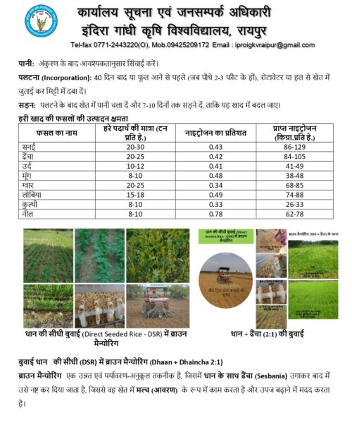 अधिक वर्षा की स्थिति में किसान लेही पद्दति से धान की करें बुआई