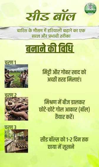 सीड बॉल अभियान- हरियाली बढ़ाने का सरल और प्रभावी माध्यम