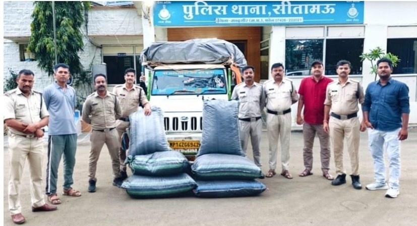 मध्यप्रदेश में नशे के खिलाफ बड़ा पुलिस अभियान, 5 दिनों में 83 लाख से अधिक के मादक पदार्थ जब्त