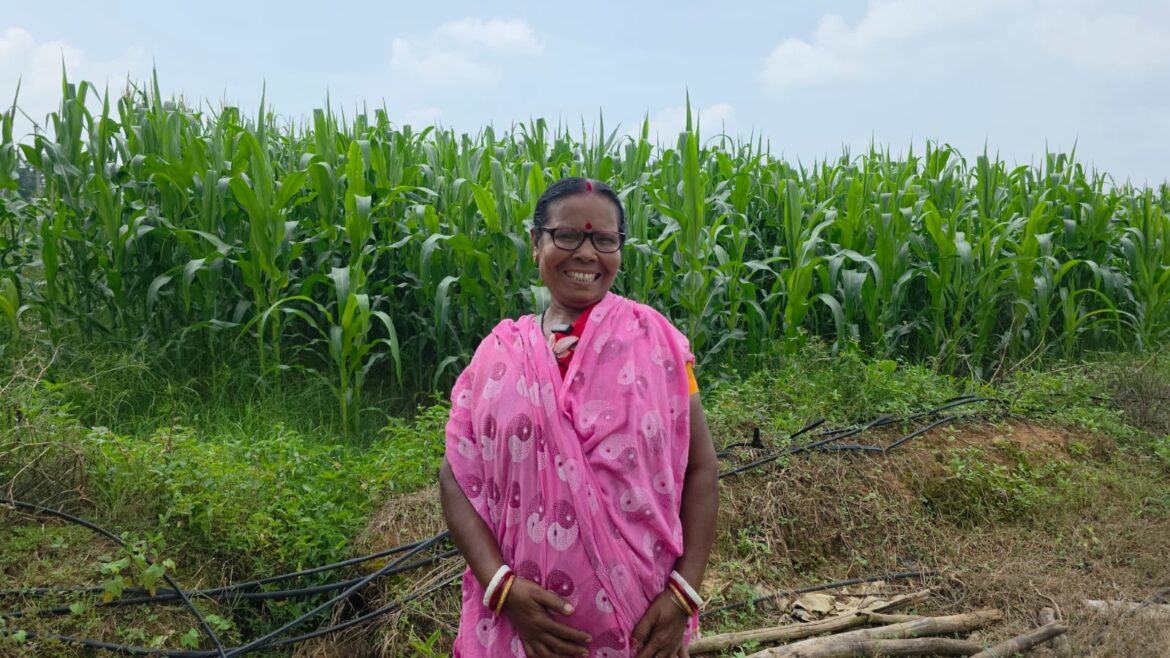 ‘बिहान’ से मिला आर्थिक संबल, मक्का उत्पादन ने माया विश्वास को बनाया ‘लखपति दीदी’