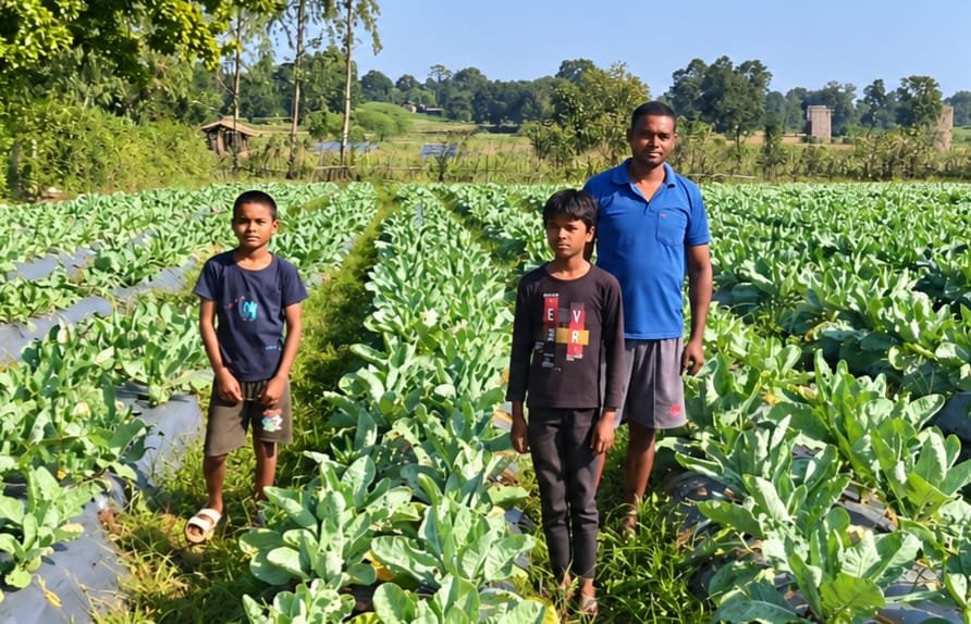 फूलगोभी की उन्नत खेती से प्रमोद सिंह को मिला 1.50 लाख रुपए का लाभ