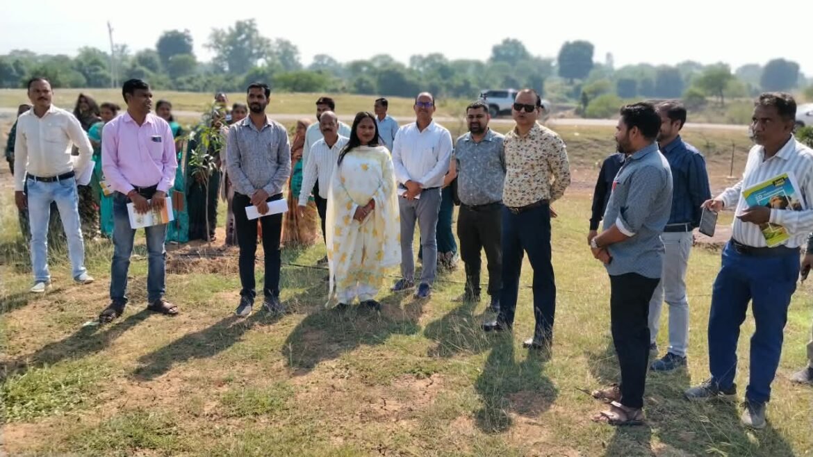 आयुक्त श्री तारन प्रकाश सिन्हा ने बेमेतरा जिले में वीबी-जी राम जी योजना के कार्यों का किया सघन निरीक्षण